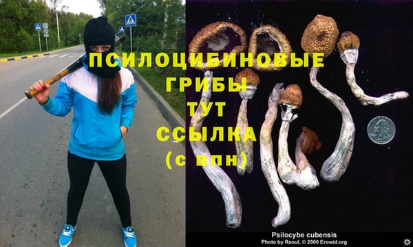 ECSTASY Алзамай
