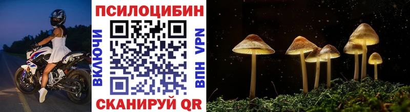 Псилоцибиновые грибы мицелий купить цена Жигулёвск